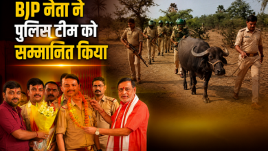 Photo of Lucknow News: पुलिस की बड़ी कामयाबी, 48 घंटे में खोज निकली BJP नेता की चोरी हुई भैंस