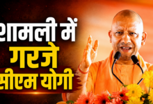 Photo of UP News: माफिया को जहन्नुम या जेल पहुंचा के रहेंगे’, शामली में CM योगी का बड़ा बयान