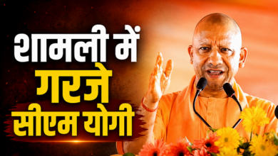 Photo of UP News: माफिया को जहन्नुम या जेल पहुंचा के रहेंगे’, शामली में CM योगी का बड़ा बयान