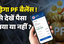 Photo of EPFO ने दिया बड़ा अपडेट! PF खातों में पहुंचा 8.25% ब्याज, ऐसे करें चेक…