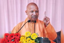 Photo of ‘यूपी के युवाओं को अब रोजगार और सम्मान’, कौशल दिवस पर CM योगी का बड़ा बयान…