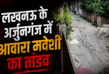 Photo of Lucknow News: अर्जुनगंज में सांड का खौफ, मासूम बच्चे को पटक-पटककर किया घायल