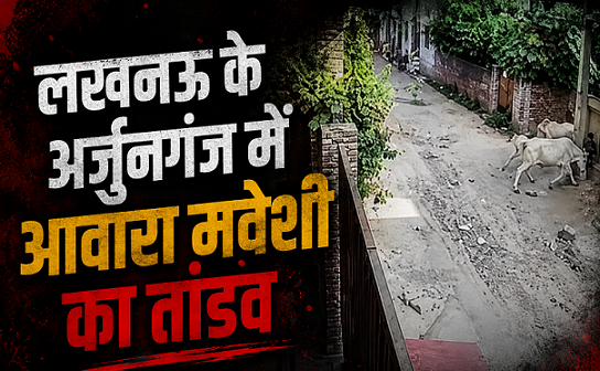 Lucknow Arjunganj