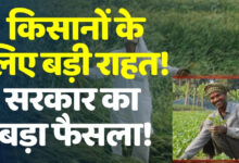 Photo of खरीफ किसानों के लिए खुशखबरी, फसल बीमा की बढ़ाई गई डेडलाइन…