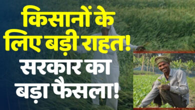 Photo of खरीफ किसानों के लिए खुशखबरी, फसल बीमा की बढ़ाई गई डेडलाइन…