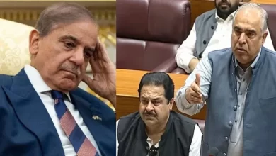 Photo of ‘हमारी कोई औकात नहीं…’, UAE में कथित भेदभाव पर पाक पूर्व स्पीकर ने सुनाई आपबीती