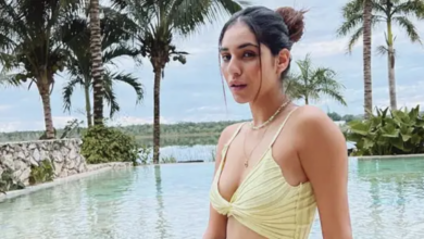 Photo of Maldives में इस हसीना का दिखा बोल्ड अवतार, जकूजी वाली फोटो ने बढ़ाया पारा