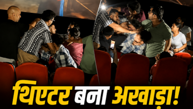 Photo of ‘Spider-Man’ का स्पॉयलर देना पड़ा भारी, भड़के दर्शको के बीच चले जमकर लात-घूंसे