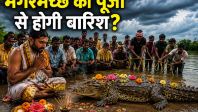 Photo of Telangana में गजब आस्था! बारिश के लिए मगरमच्छ की पूजा, नदी किनारे जुटी भीड़…