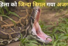 Photo of जंगल में लापता हुई महिला… अजगर के पेट से बरामद हुआ शव, तस्वीरें वायरल