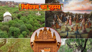 Photo of राधा अष्टमी पर जानिए रहस्यमयी निधिवन का सच, जहाँ आज भी रास रचाते हैं राधा-कृष्ण