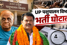Photo of UP में पशुपालन विभाग भर्ती घोटाले में एक्शन, पूर्व IAS योगेश कुमार गिरफ्तार