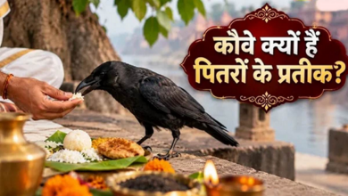 Photo of पितृ पक्ष में कौवों को भोजन कराने का क्या है महत्व? जानें शकुन-अपशकुन का रहस्य