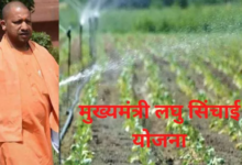 Photo of किसानों की सिंचाई समस्या होगी दूर, CM लघु सिंचाई योजना के तहत मिल रही सब्सिडी